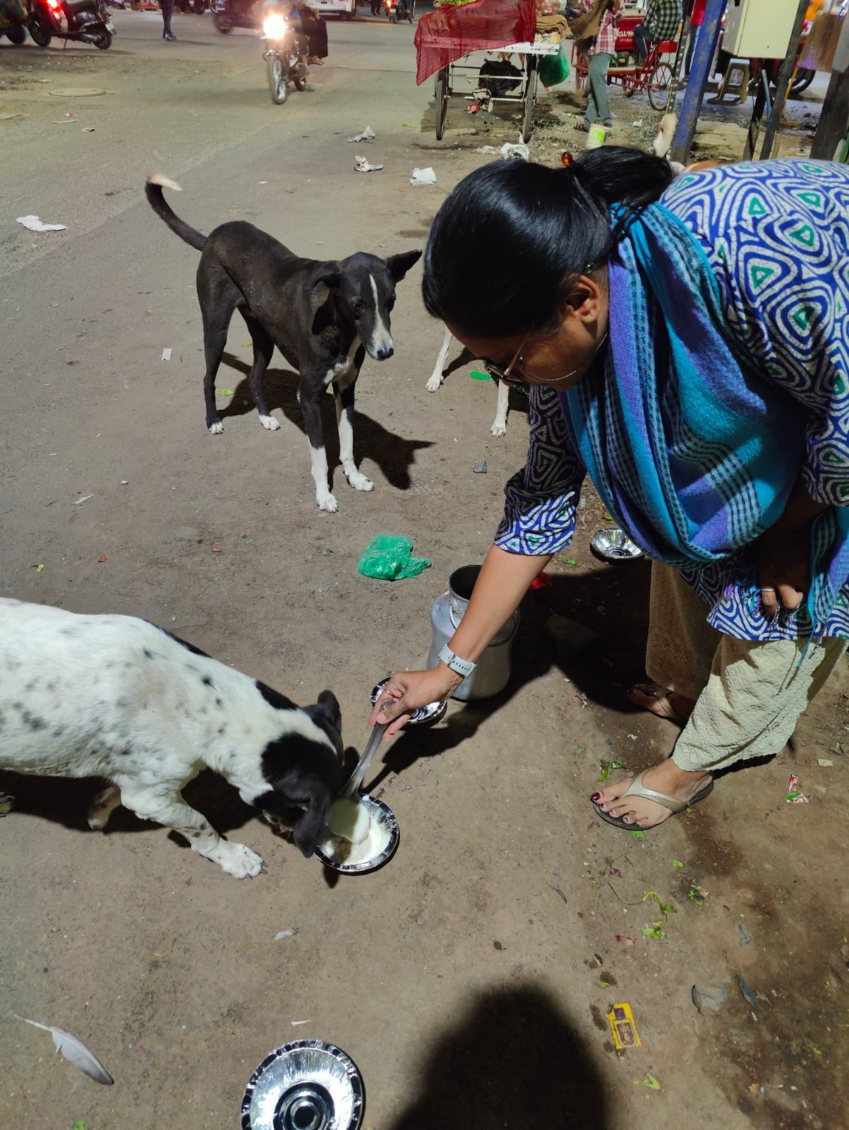 Dog Feed